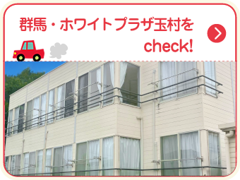 群馬・ホワイトプラザ玉村